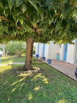 maison traditionnelle 4 pièces en vente sur BALMA (31130)