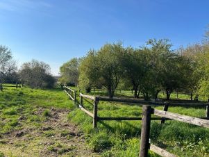 terrain 2 pièces en vente sur BALMA (31130)