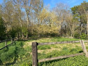 terrain 2 pièces en vente sur BALMA (31130)