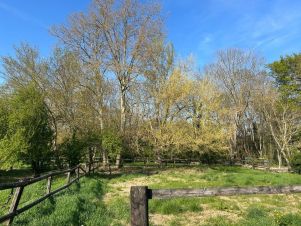 terrain 2 pièces en vente sur BALMA (31130)